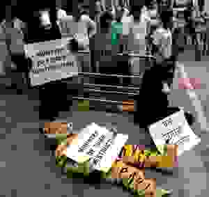 Greenpeace india